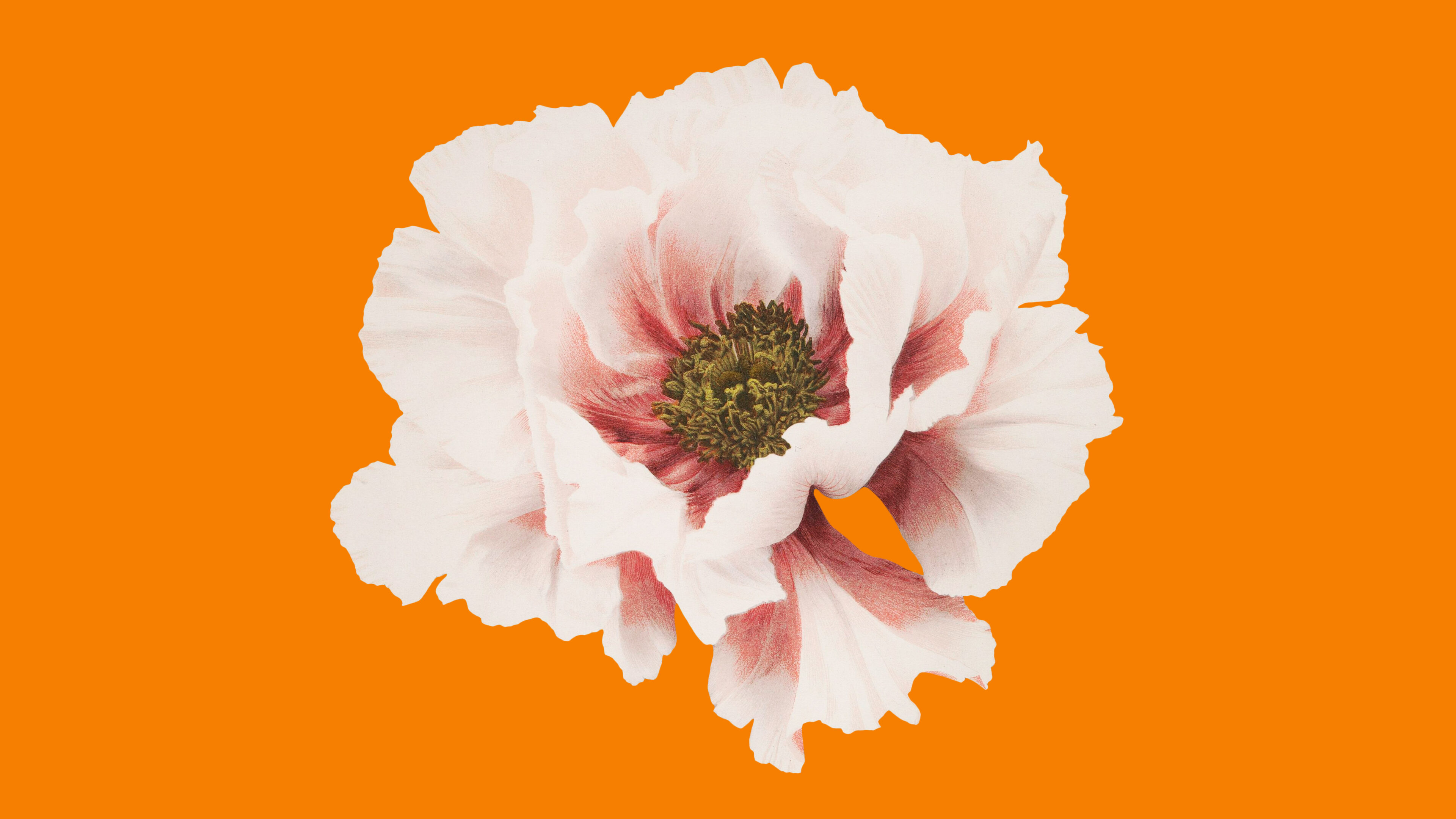 The Secret to Ageing Gracefully: Unlocking the Mystery of Sam Beres's Unconventional Approach